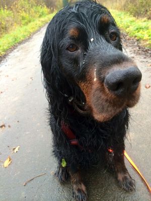 Marlow mit 9 Jahren